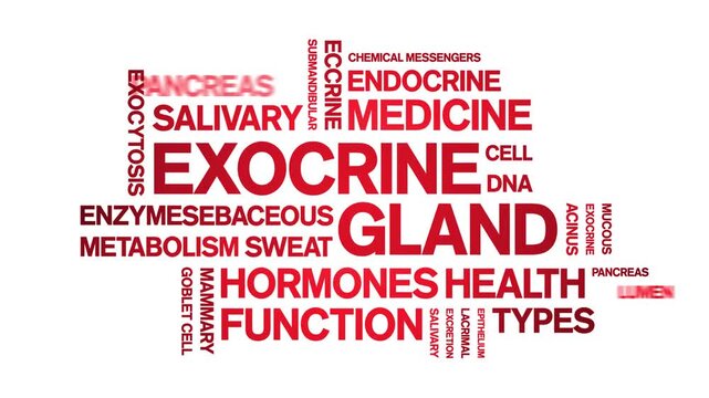 Exocrine Gland animated word cloud-animation tag kinetic typography seamless loop.