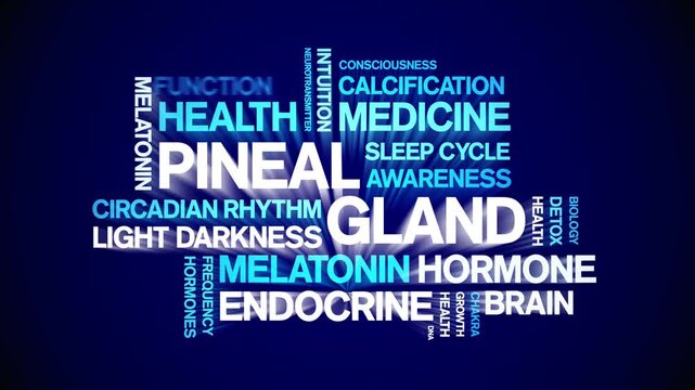 Pineal Gland animated word cloud-animation tag kinetic typography seamless loop.