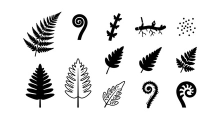 Obraz premium Fern Leaf Vector Illustrations, Botanical Elements, Nature Icons, Black and White Organic Shapes
