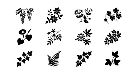 Fototapeta premium Elegant Floral and Botanical Vector Ornaments, Decorative Plant Silhouettes, Vintage Nature Design Elements