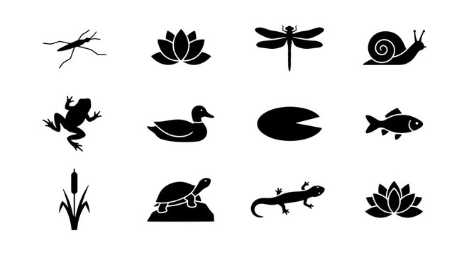 Pond Life Icons: Frog, Snail, Fish, Dragonfly, Lotus, Turtle, Water Lily, Reed, Lizard, Duck, Water Strider