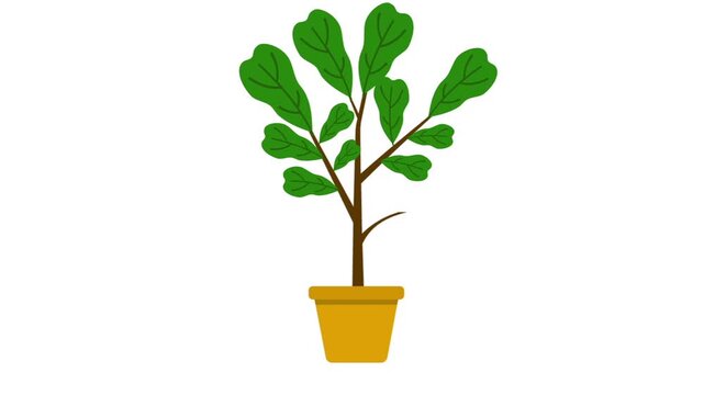 Illustration of a small green potted plant with lush leaves.