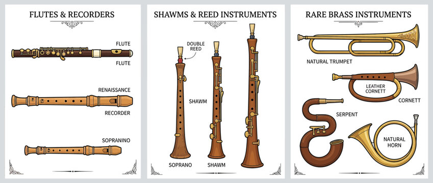 Vintage Woodwind and Brass Musical Instruments Collection