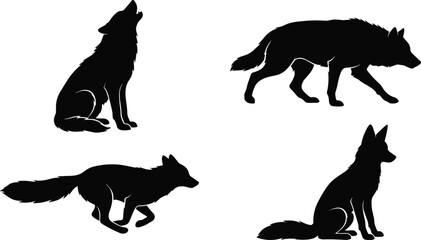Wild wolves and foxes black silhouette vector collection featuring howling wolf predator stalking timberwolf running fox and alert sitting canine isolated on white background. © MAHIYA AKTER