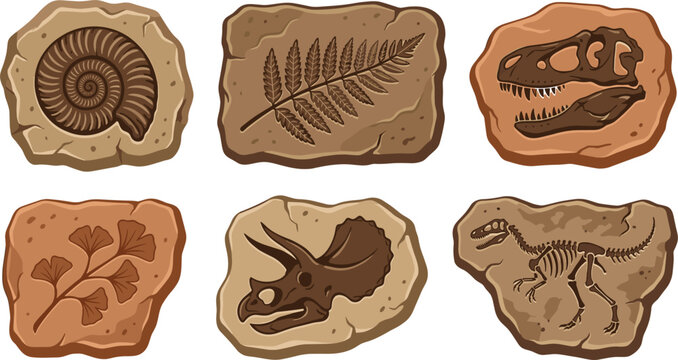 Prehistoric dinosaur fossil and ancient plant imprint icon set with ammonite shell bone skeletons embedded in stone vector