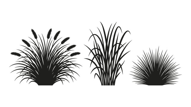 CAD tree lines,  grass Black grass silhouette vector set, wild cattail and marsh reeds icons, decorative garden shrubs and meadow plants isolated on white vector