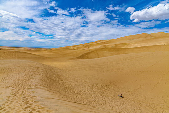 Expansive golden sand dunes under a bright blue sky with clouds at Great Sand Dunes National Park. Person sandboarding in the foreground.