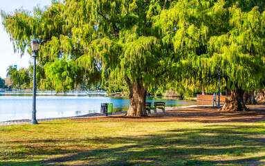 Obraz premium Autumn in Palermo Park, Buenos Aires, Argentina