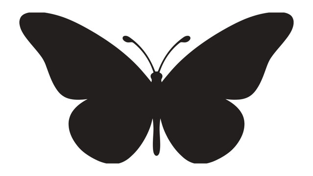 Butterfly silhouette features a symmetrical insect shape with rounded wings isolated against a plain white background for versatile application.