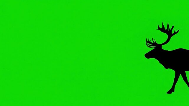 Silhouetted reindeer walking against green screen background deer silhouette animal wildlife nature