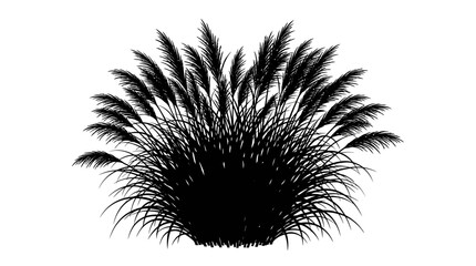 Decorative ornamental grass silhouette with fluffy plumes creates a striking graphic element for various design projects. © MstShopna
