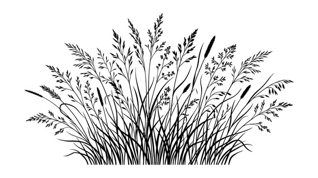 Assortment of varied grass and cattail silhouettes forms a natural border or design element for outdoor-themed projects.