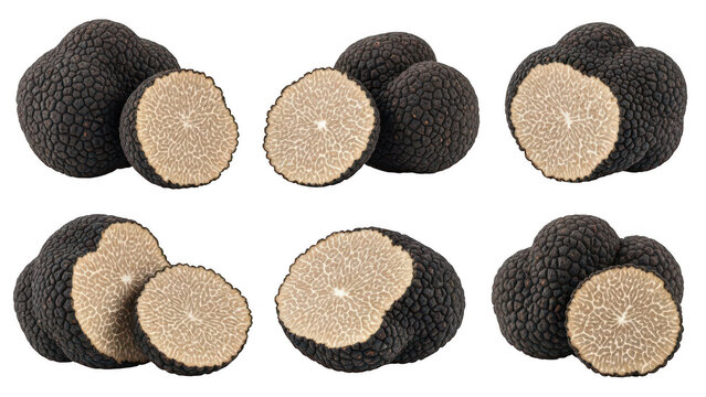 Fresh black truffles whole and sliced collection on white background