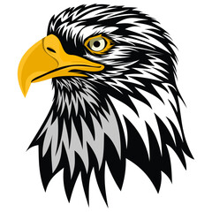 Fototapeta premium Powerful Bald Eagle Portrait Vector Illustration