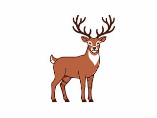 Obraz premium Majestic Deer with Antlers Standing on White Background, Forest Animal Illustration