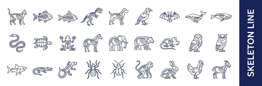 Animal Skeleton Collection Line Art