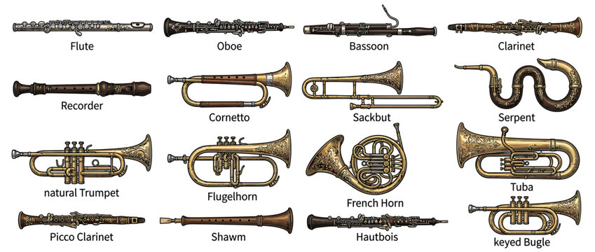 Collection of Vintage Musical Instruments Illustration