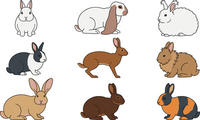 Naklejka premium Rabbit Breed Collection Featuring Lop, Lionhead, Dutch, Himalayan and Domestic Bunny Varieties Flat Vector Illustration Set for Pet Designs