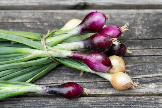 A bunch of fresh small salad onions lies on a rustic wooden board. The onions are red and white.