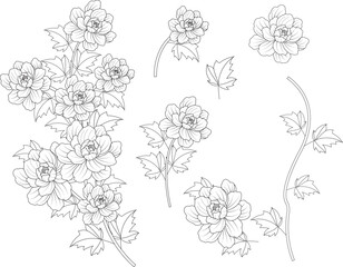 Fototapeta premium set of flowers