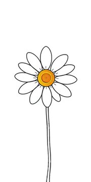 Simple daisy outline drawing on white background, simplicity, nature-inspired