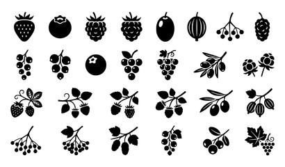 Botanical berry and olive silhouette icon set with black fruit vector collection for packaging and branding isolated on white background © MdShojib