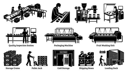 Obraz premium Avocado processing and logistics factory operations icons set showing sorting packaging