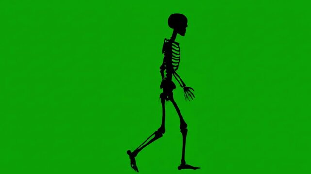 skeleton walk green screen video