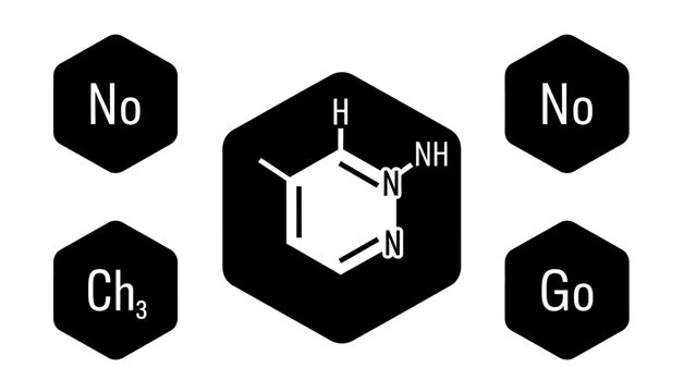 Biochemistry concept: Thymine molecule structure with 'No Go' and 'No Ch3' signs