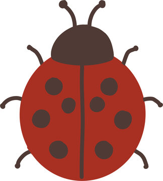 cute ladybug