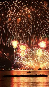 【縦動画】夜空に広がる複数のカラフルな打ち上げ花火  花火大会  2019年広島みなと夢花火大会