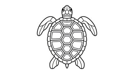 Top-down sea turtle swimming line art illustration. © bogel