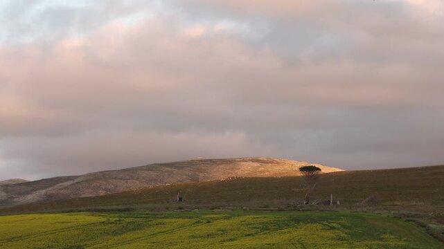 rolling hills of Stanford, South Africa at sunset