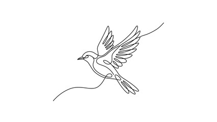 hummingbird © Karina