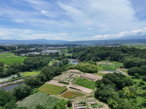 Lush fields stretch beneath a bright blue sky