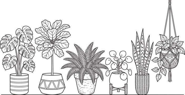 Set of indoor potted plants hand drawn vector illustration including swiss cheese plant fiddle leaf fig fern pilea snake plant and ivy.
