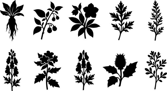 Set of silhouettes of poisonous plants and herbs vector illustration