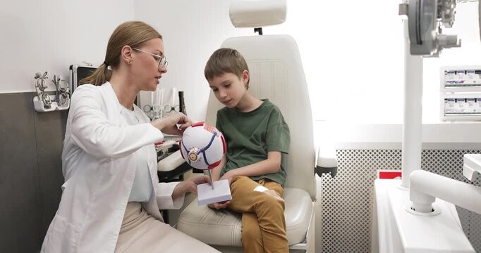Competent woman doctor explaining diagnostic procedure or vision condition to child patient using visual teaching eye model reducing anxiety building trust during pediatric consultation. Copy space