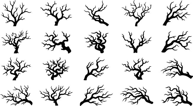 Set of silhouettes of bare leafless trees and branches vector illustration