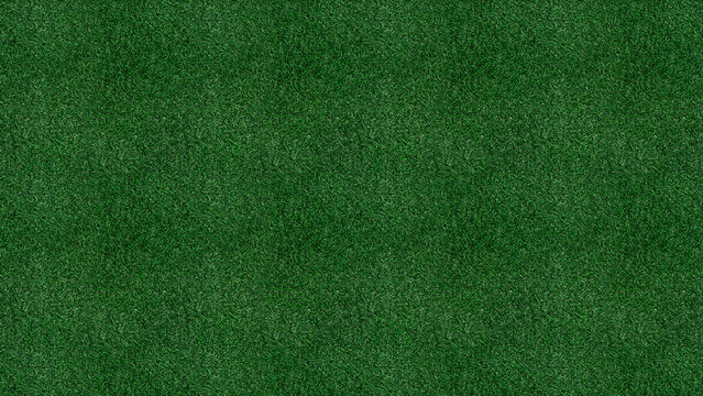 Green grass texture background. Natural lawn surface for sports or landscaping design.