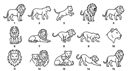 Minimalist lion line art collection, 15 black and white wild cat icons, safari animal vector set for coloring and logo design © Hinaa