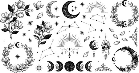 Hand drawn mystical celestial vector set with magnolia flowers moon phases constellations crescent wreaths and esoteric sun symbols sketch © Kulsum