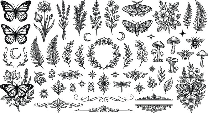 Mystical cottagecore engraving vector element set featuring celestial moths butterflies mushrooms ferns wildflowers and gothic scroll dividers