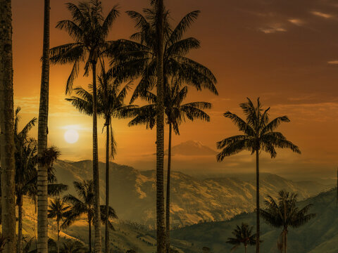 Sunset landscape view with silhouette wax palm trees in the cocora valley colombia landscape colombia