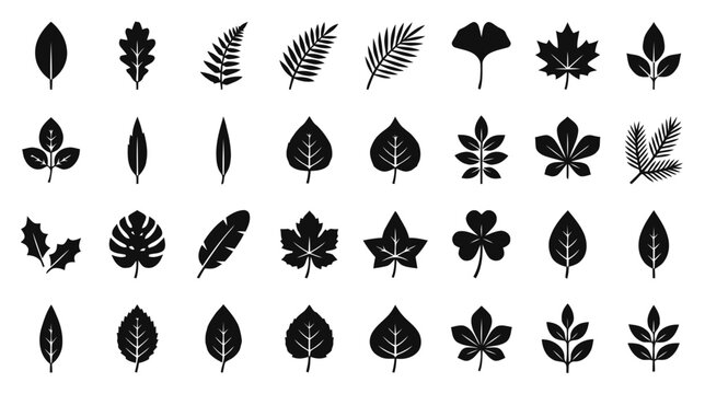 Vector illustration of set of black leaf icons, various tree and plant leaves silhouettes on a transparent background