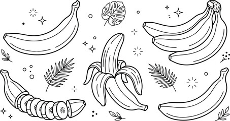 Banana fruit line art vector icons set with whole bunch peeled sliced bananas and tropical monstera leaf elements © MD
