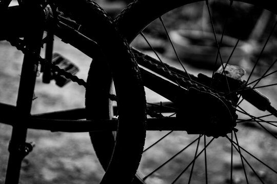 wheel of a bicycle