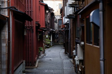 Fototapeta premium 雨上がり