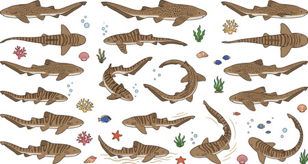 Obraz premium Zebra Shark and Leopard Shark Vector Illustration Pack with Coral Reef Elements for Marine Biology Education, Aquarium Signage, and Ocean Conservation Graphics