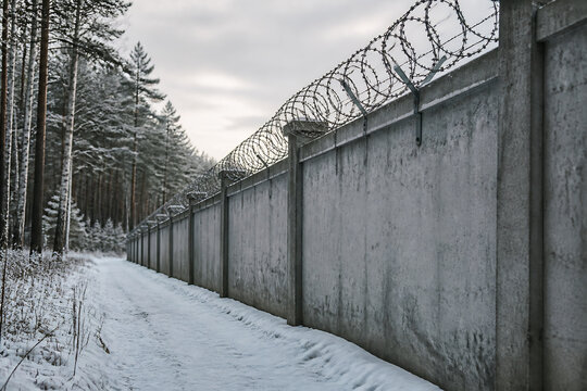 A barbed wire fence runs alongside a snowy path through a pine forest.